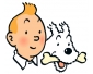 Lot de BD Tintin et Milou à vendre