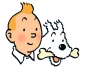 Lot de BD Tintin et Milou  vendre