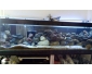 Aquarium de 600L complet a vendre