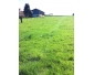Prairie (70ares) à FELUY , 150€/cheval: 2 places libre