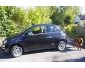 Voiture Fiat 500 occasion