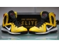 Nike lebron  TAXI