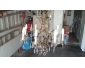 deux lustres en cristal  vendre