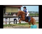 Vente jolie bb poney