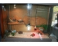 Terrarium  vendre