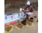 medium guerisseur traditionel voyant spirituel