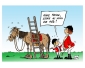 Cours d’équitation niveau débutant – amateur