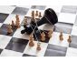 Cours d'échecs par skype/ 1er COURS OFFERT