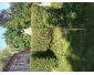 Jardinier