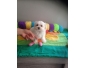 A DONNER Chiot type bichon maltais Femelle