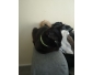 chat a donner urgent