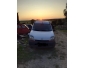 Kangoo