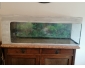 Aquarium vide