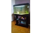 Aquarium 100 L avec matériel