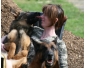 chiots berger allemand