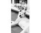 Akita inu