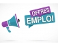 Offre d'emploie Miss sous plis à domicile 