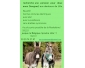 recherche pension pour deux anes (hongres!)