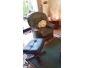 SALON CUIR VERT - RONCE DE NOYER
