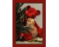 Adorables chatons Persan à reserver au plus vite pour Noël