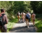 Naturisme en rÃ©gion liÃ©geoise